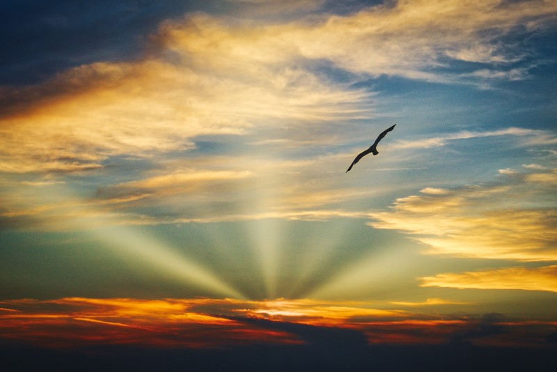 nature, hd, 4k, 5k, clouds, sunset, evening, sky