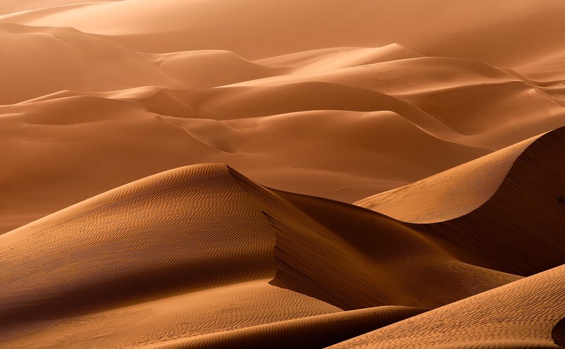 desert, dune, landscape, nature, hd