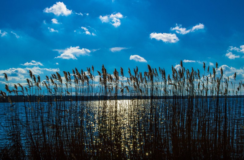 water, sky, outdoors, hd, 4k, 5k, nature