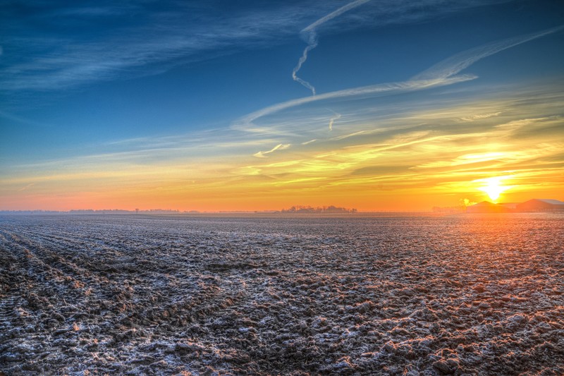 evening, field, sunset, hd, 4k, 5k