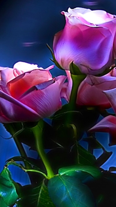 Artistic Flower, Rose, 720x1280