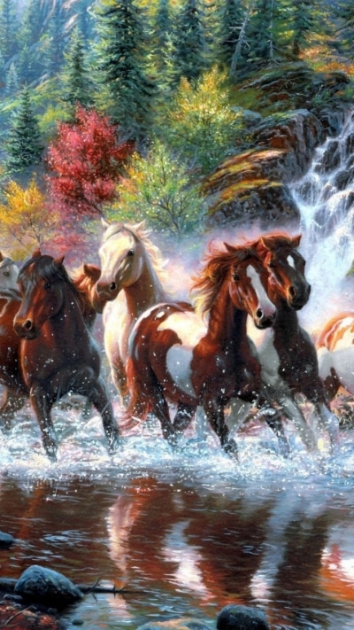 Animal Horse, 720x1280