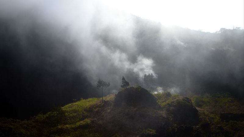 mountains, hills, fog, trees, nature, 4k