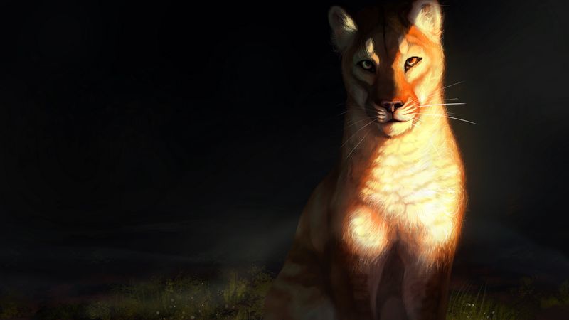 lioness, big cat, glance, art, 4k