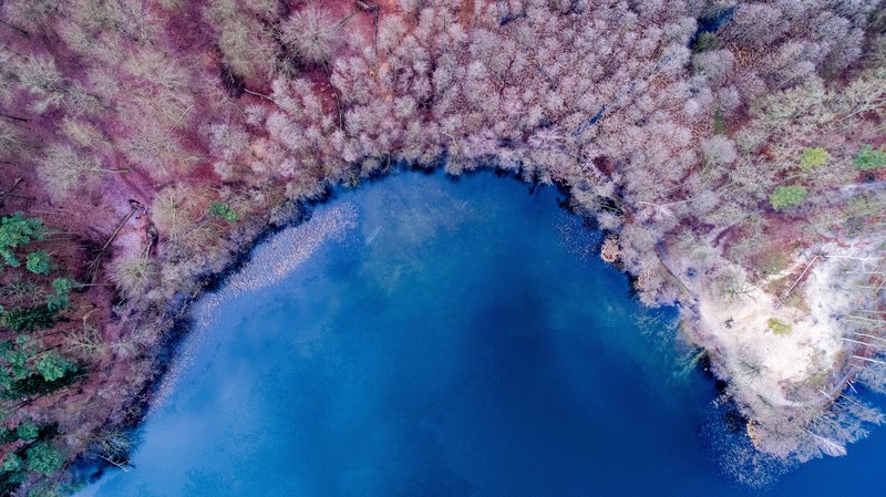 nature, lake, forest, colorful, hd, 4k, 5k