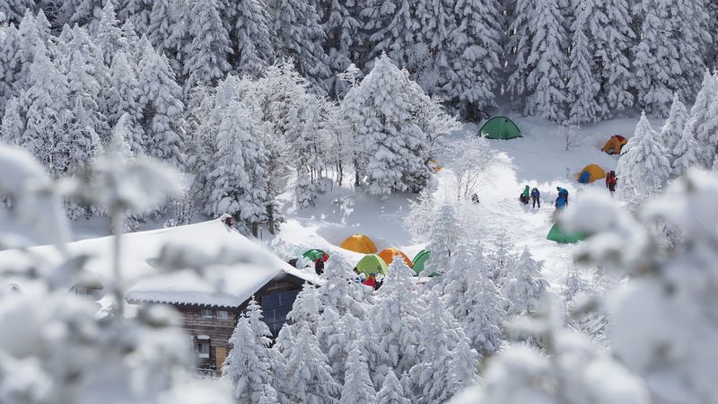 forest, tents, camping, snow, winter, 4k
