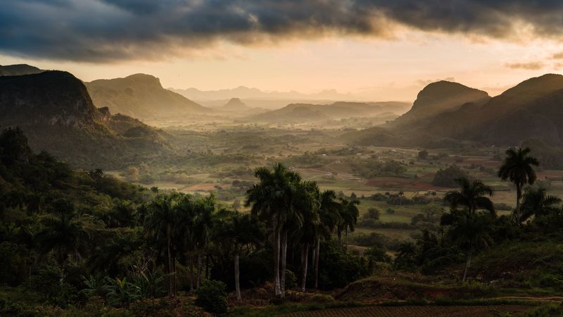 mountains, fog, palm trees, clouds, 4k