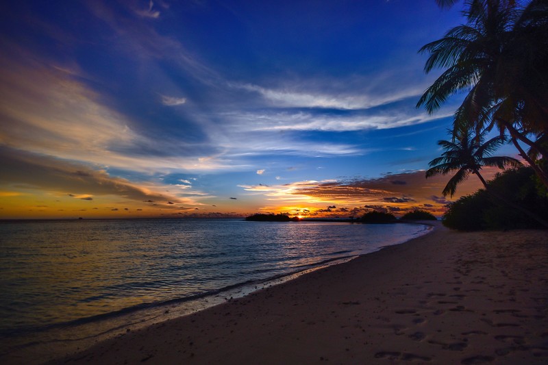 beach, tree, sea, clouds, hd, nature, 4k, sunset
