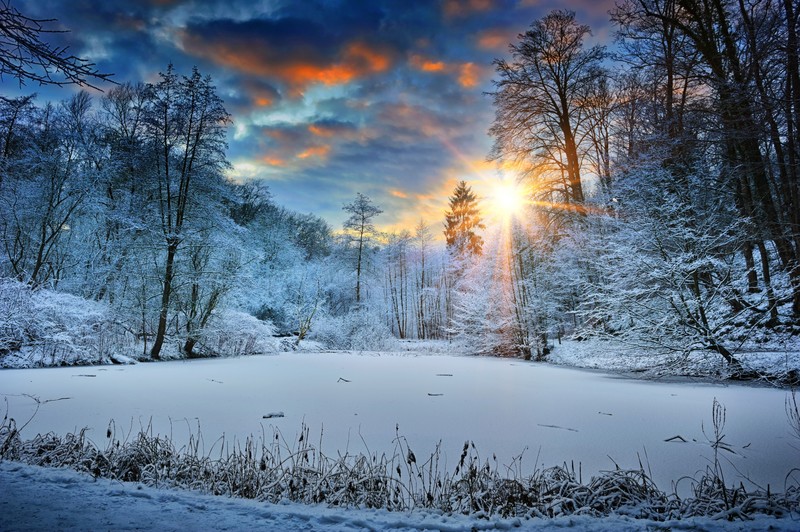 sunbeam, landscape, snow, winter, trees, nature, hd, 4k