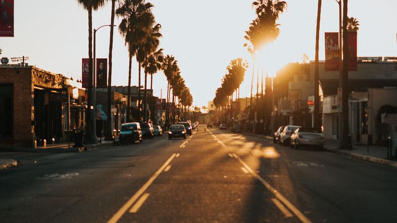 street, city, sunset, palm trees, cars, 4k