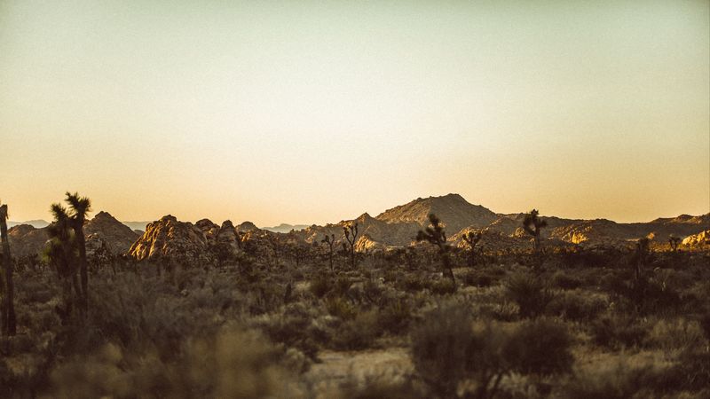 prairies, desert, valley, trees, hill, 4k