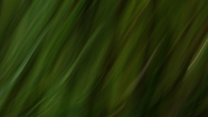 stripes, lines, distortion, blur, green, 4k