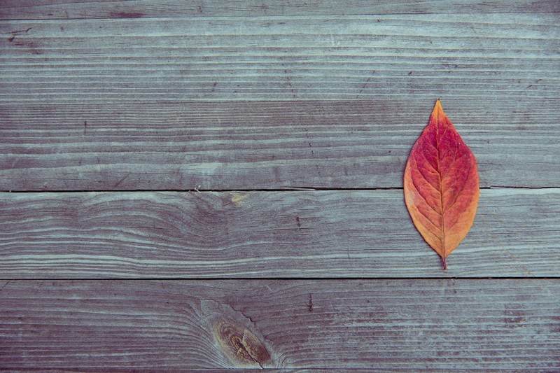leaf, wood, hd, photography, table, 4k, 5k