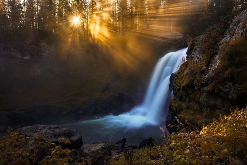 waterfall, forest, sunbeam, trees, nature, hd