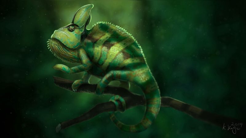 chameleon, lizard, green, branch, art, 4k