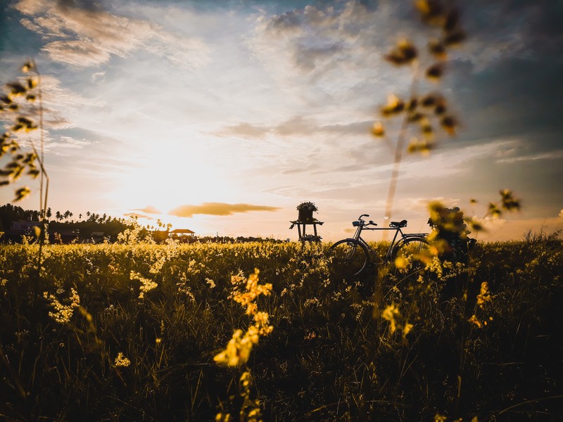 bicycle, field, hd, grass, photography, 4k
