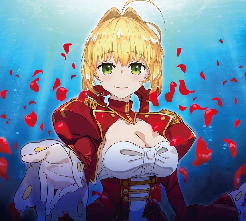 anime, artist, artwork, digital art, hd, 4k, fate extra