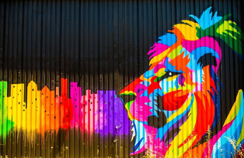 lion, artist, artwork, digital art, hd, 4k, 5k, graffiti