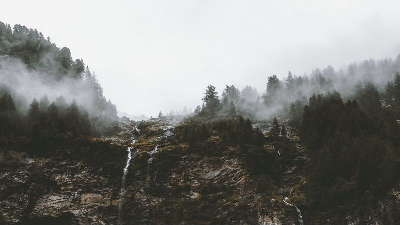 cliff, trees, fog, streams, nature, 4k