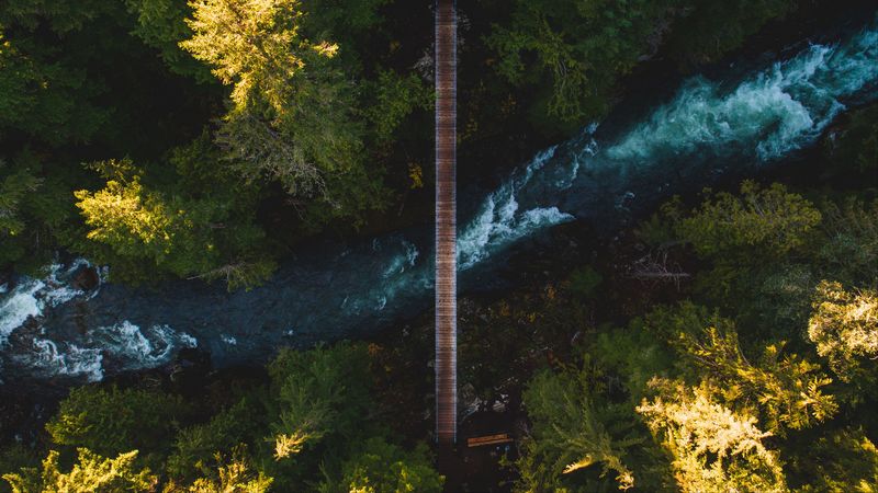 river, bridge, aerial view, trees, shore, 4k