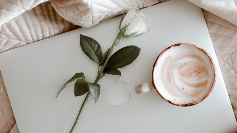 macbook, coffee, cup, rose, cloth, 4k