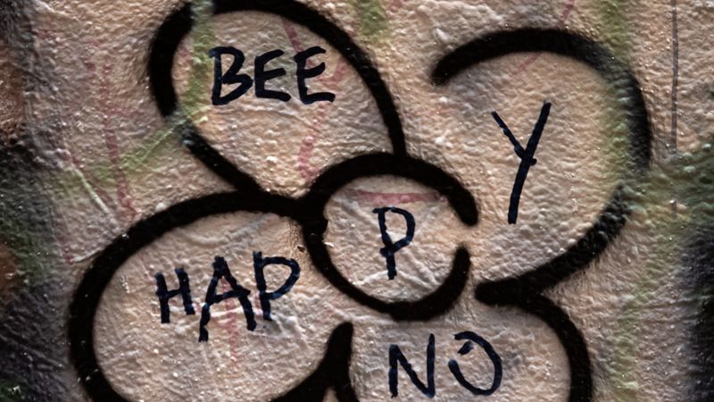 wall, inscription, flower, words, 4k
