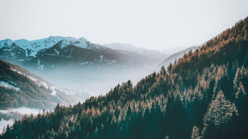 mountains, forest, fog, nature, 4k