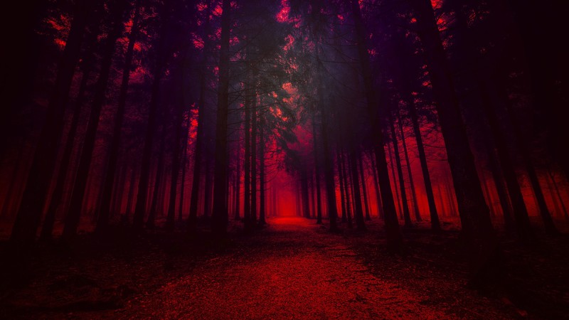 artistic, red, forest, nature, hd