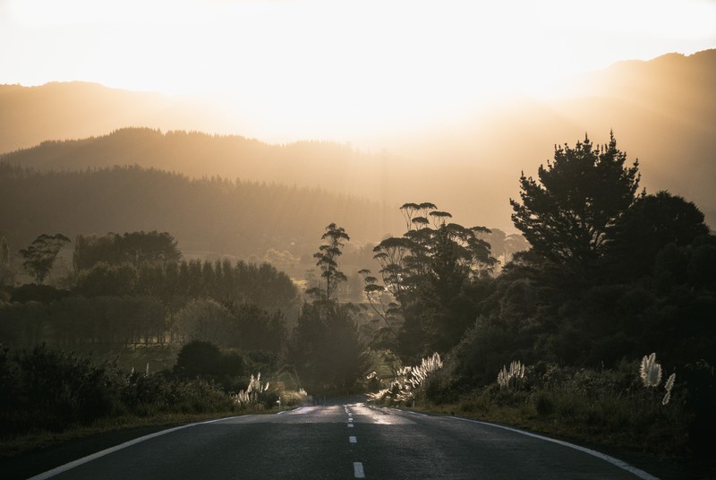 road, trees, hd, 4k, dusk, dawn