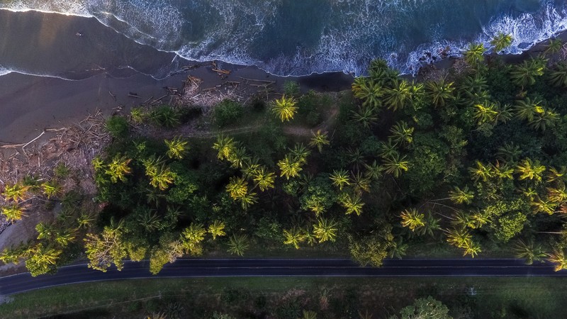 nature, trees, hd, 4k, beach, sea, water, waves