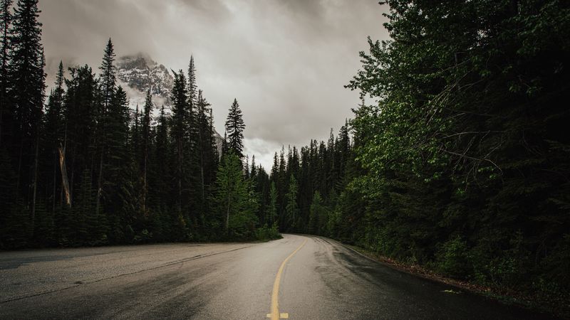 road, trees, nature, asphalt, 4k