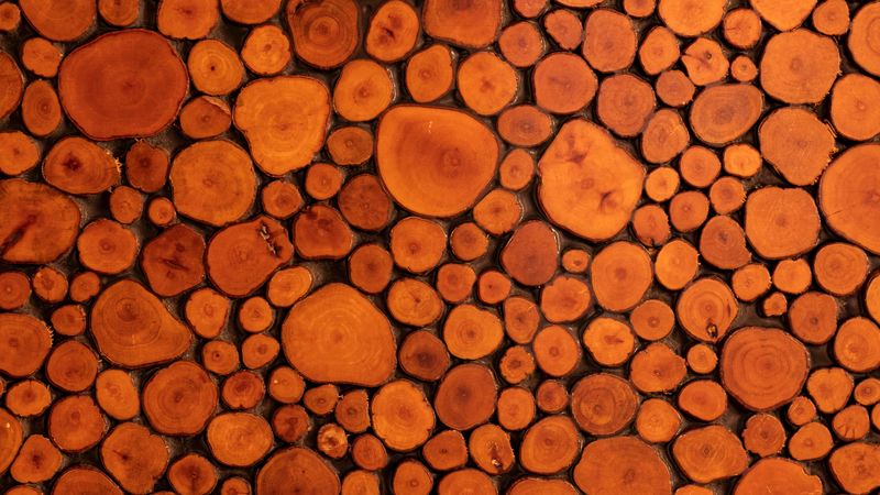 wood, texture, logs, brown, 4k