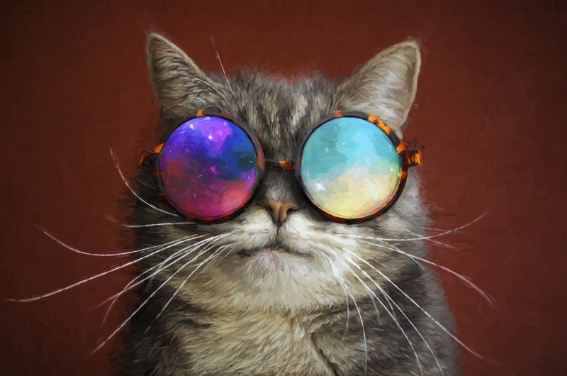 cat, animals, painting, artist, artwork, digital art, hd, 4k, 5k