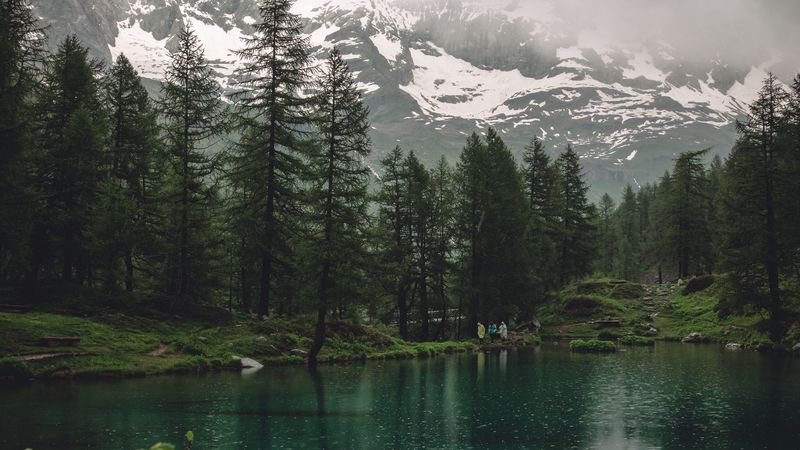 lake, mountains, trees, rain, nature, 4k
