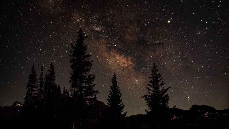starry sky, trees, dark, night, nature, 4k