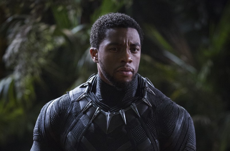 chadwick boseman, black panther, 2018 movies, hd, 4k, movies