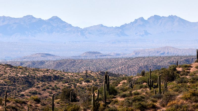prairies, cacti, mountains, distance, 4k