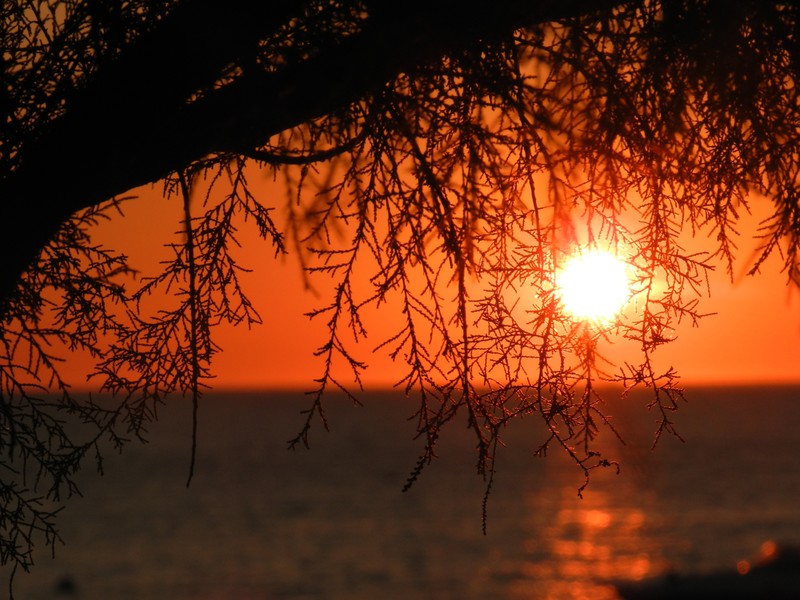 sunset, ocean, sun, nature, hd, 4k, hd