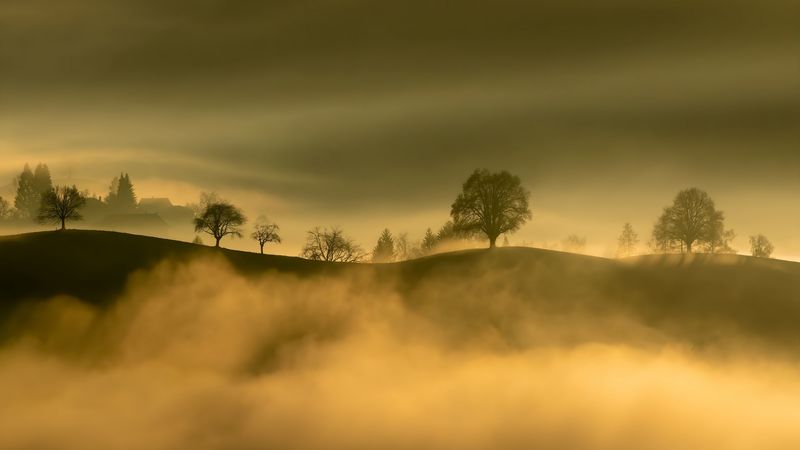 hills, trees, fog, mountains, nature, 4k