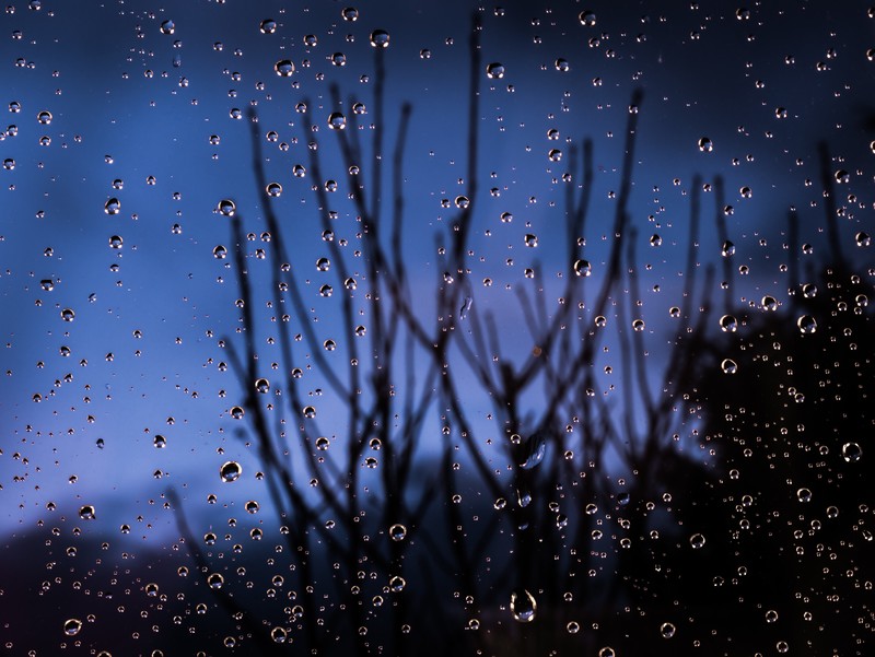 drops, macro, water, 4k, hd, photography