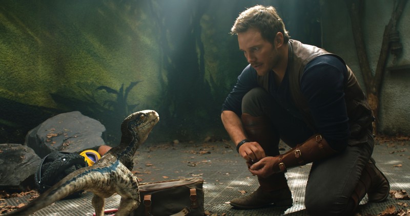 jurassic world fallen kingdom, jurassic world, 2018 movies, movies, 4k, hd, 5k, chris pratt