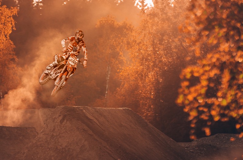 bike, motorcycle, hd, 4k, autumn, forest