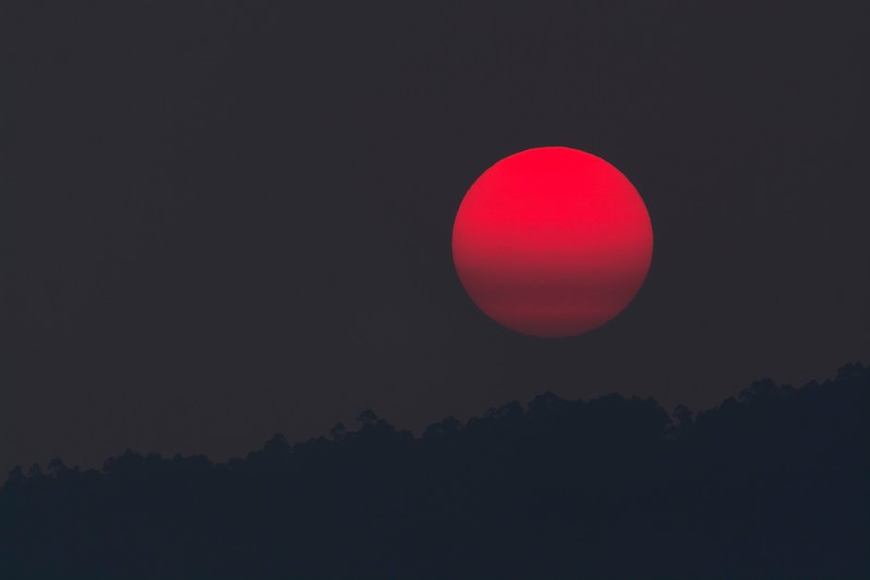 moon, evening, nature, hd, 4k, 5k