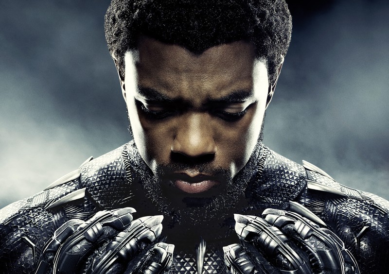 chadwick boseman, black panther, 2018 movies, hd, 4k, movies