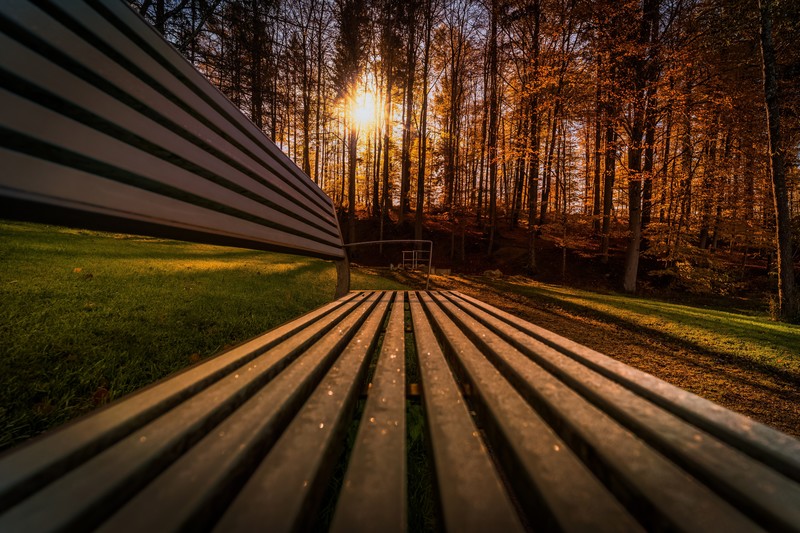 sunbeam, nature, trees, hd, 4k, 5k, forest, bench