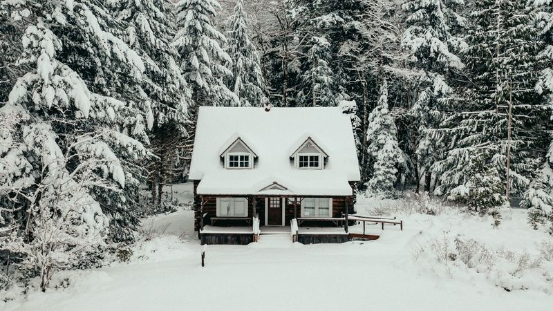 house, forest, snow, winter, nature, 4k
