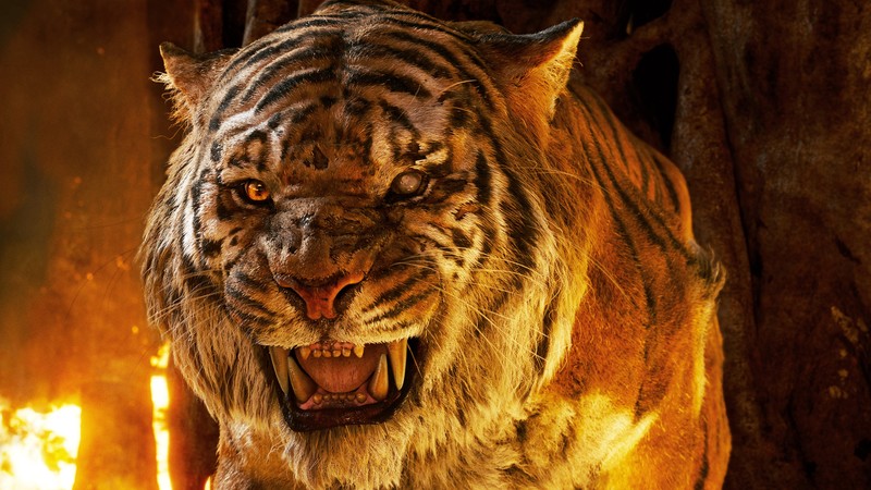 the jungle book, movies, animated movies, 2016 movies, tiger, hd, 4k, 5k