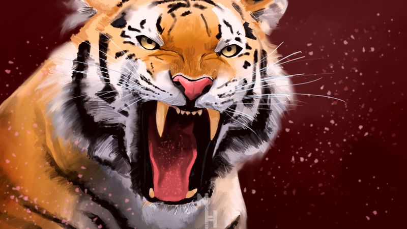 tiger, grin, aggression, predator, art, 4k