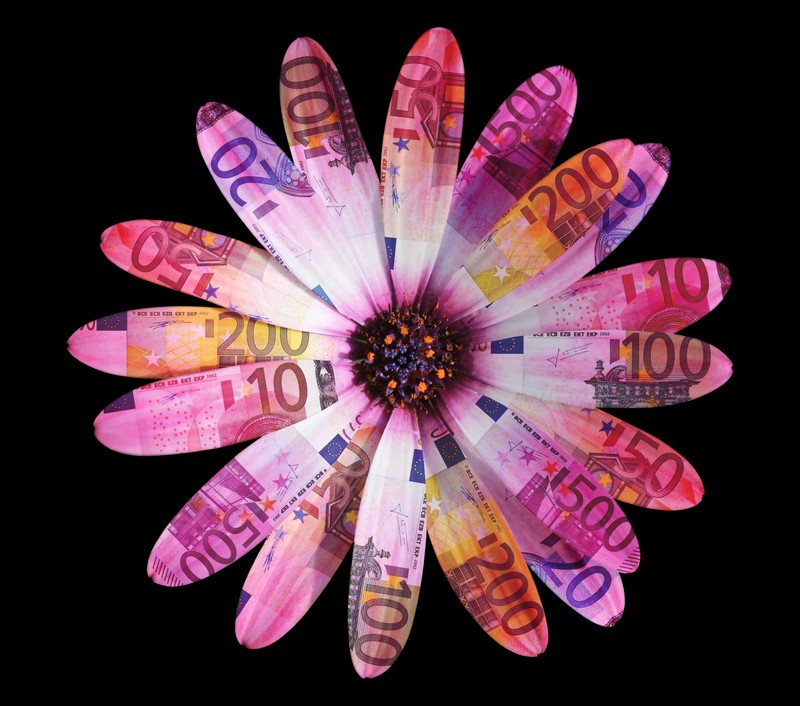 creative, currency, euro, flowers, hd, illustration, 4k