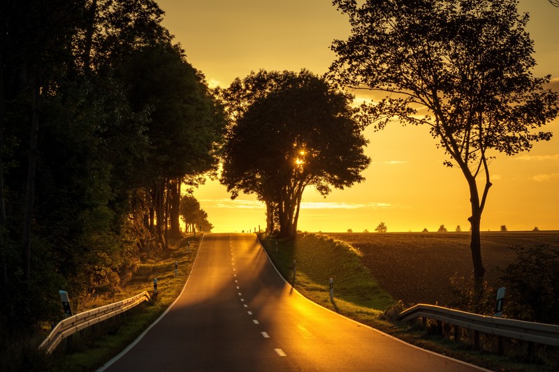 road, sunset, nature, hd, 4k, 5k